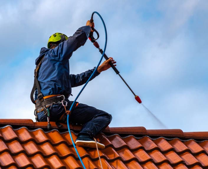 Roof Cleaning Services