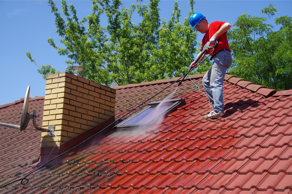 Roof Moss Removal